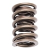 Picture of Valve Springs
