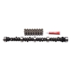 Picture of Performer-Plus Hydraulic Flat tappet Camshaft and Lifter Kit