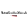 Picture of Rollin' Thunder Hydraulic roller tappet Camshaft