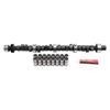 Picture of Performer RPM Hydraulic Flat tappet Camshaft and Lifter Kit