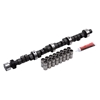 Picture of Performer RPM Hydraulic Flat tappet Camshaft and Lifter Kit