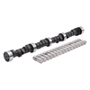 Picture of Performer-Plus Hydraulic Flat tappet Camshaft and Lifter Kit