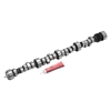 Picture of Rollin' Thunder Hydraulic roller tappet Camshaft