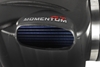 Picture of Momentum GT Pro 5R Cold Air Intake System
