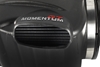 Picture of Momentum GT Pro DRY S Cold Air Intake System
