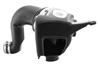 Picture of Momentum HD Pro DRY S Cold Air Intake System