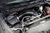 Picture of Momentum GT Pro DRY S Cold Air Intake System