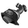 Picture of Momentum Pro DRY S Cold Air Intake System