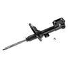 Picture of Excel-G Front Passenger Side Twin-Tube Strut