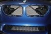 Picture of Magnum FORCE Intake System Dynamic Air Scoops - Carbon Fiber