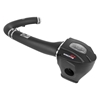 Picture of Momentum GT Pro DRY S Cold Air Intake System