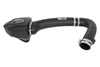 Picture of Momentum GT Pro DRY S Cold Air Intake System