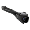 Picture of Momentum HD Pro 10R Cold Air Intake System