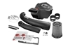 Picture of Momentum GT Pro DRY S Cold Air Intake System