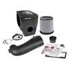 Picture of Momentum GT Pro DRY S Cold Air Intake System