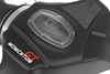 Picture of Momentum GT Pro DRY S Cold Air Intake System