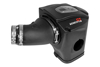 Picture of Momentum GT Pro DRY S Cold Air Intake System