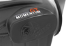 Picture of Momentum GT Pro DRY S Cold Air Intake System