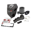 Picture of Momentum GT Pro DRY S Cold Air Intake System