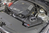 Picture of Momentum GT Pro DRY S Cold Air Intake System