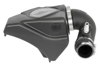 Picture of Momentum GT Pro DRY S Cold Air Intake System