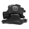 Picture of Momentum GT Pro DRY S Cold Air Intake System