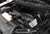 Picture of Magnum FORCE Stage-2 Pro DRY S Cold Air Intake System