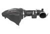 Picture of Momentum GT Pro DRY S Cold Air Intake System