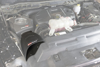 Picture of SCORCHER HD Power Package - Momentum HD Cold Air Intake with SCORCHER HD Module