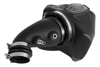 Picture of Momentum GT Pro DRY S Cold Air Intake System