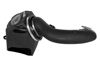 Picture of Momentum HD Pro DRY S Cold Air Intake System