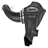 Picture of Momentum GT Pro DRY S Cold Air Intake System