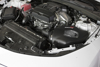 Picture of Momentum GT Pro DRY S Cold Air Intake System